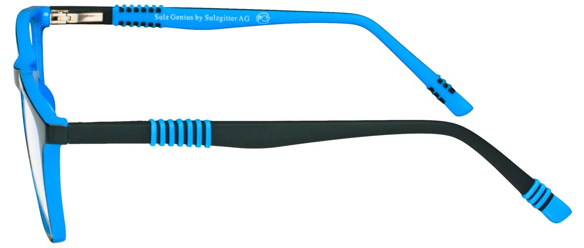 Sulzgenius 6153 2