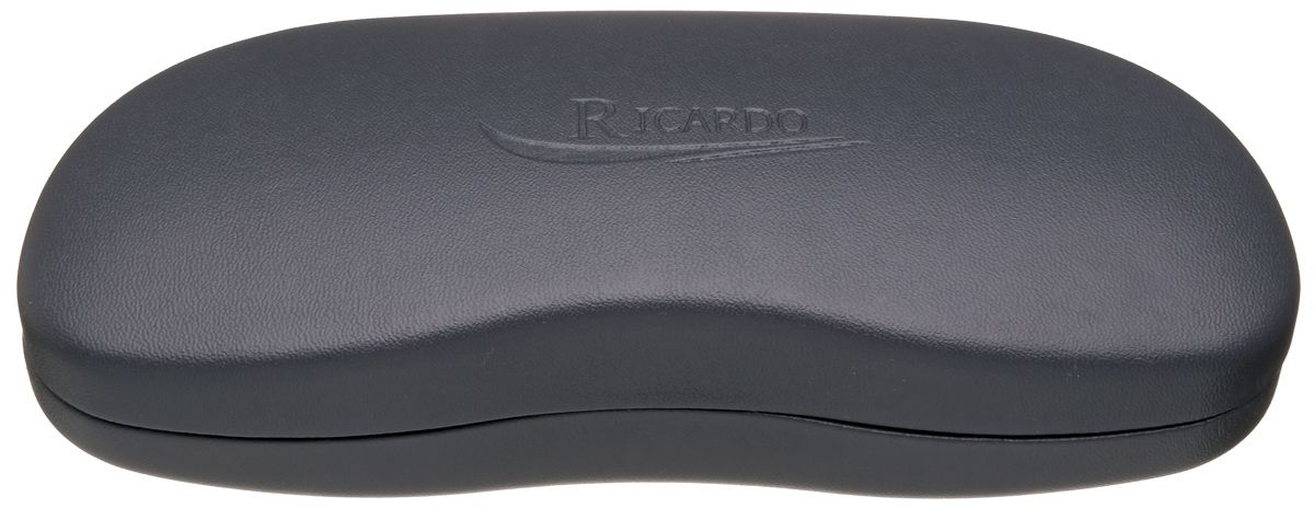 Ricardo 212013 3