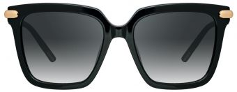 Alexander McQueen 0375S 001